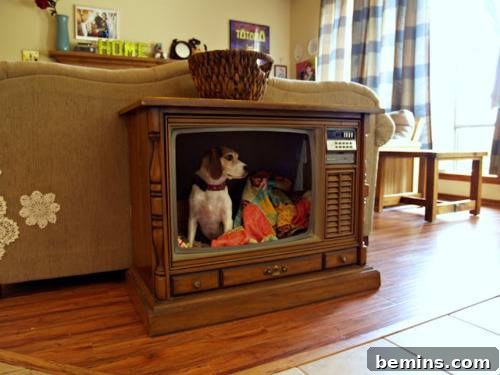An antique television transformed into a cozy dog house, complete with an orange blanket, offering a vintage and comfortable retreat.