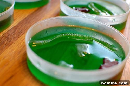 Creative Bites: 10 Fun Food Crafts for Kids 10 Spooky and Fun Mad Scientist Treats