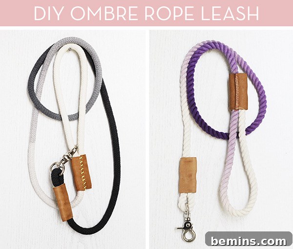 DIY Rope Dog Leash