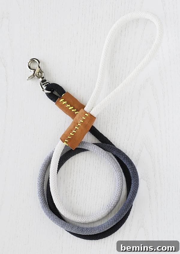 Dyed Rope Dog Leash