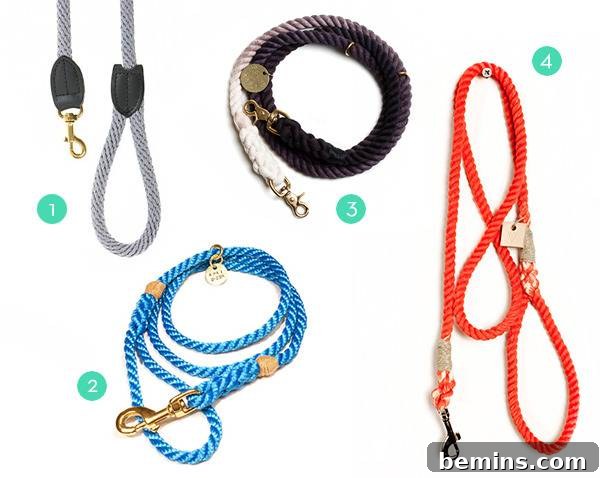 Rope Dog Leash Examples