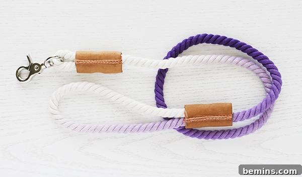 Finished Rope Dog Leash Detail