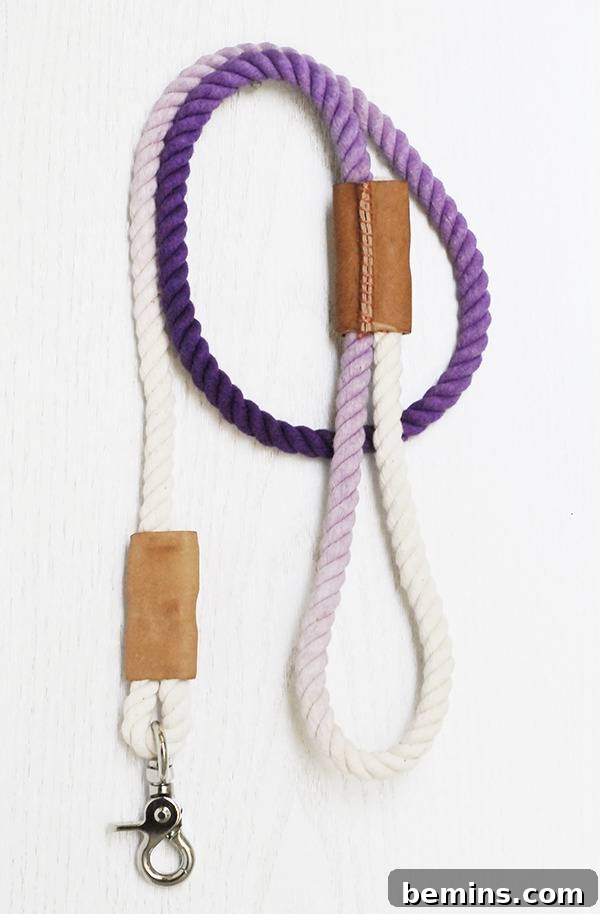 Finished Rope Dog Leash