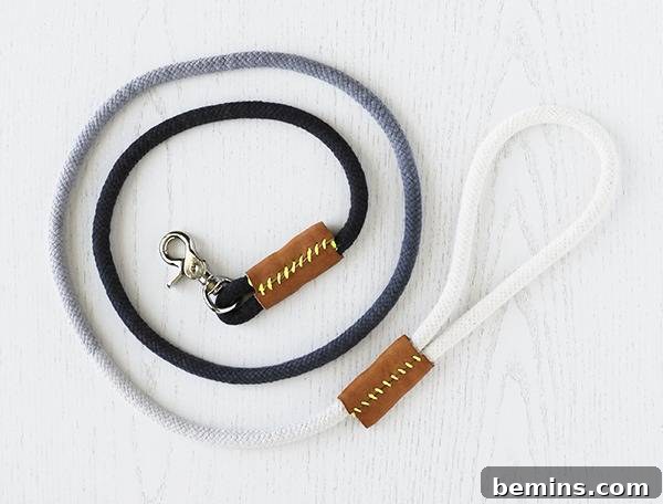 Ombre Rope Dog Leash