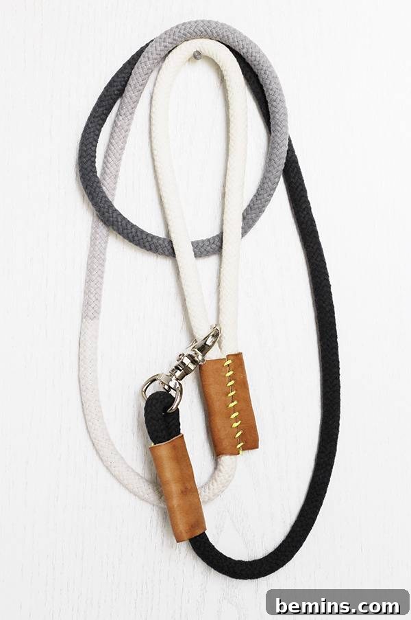 Dip-Dyed Rope Dog Leash