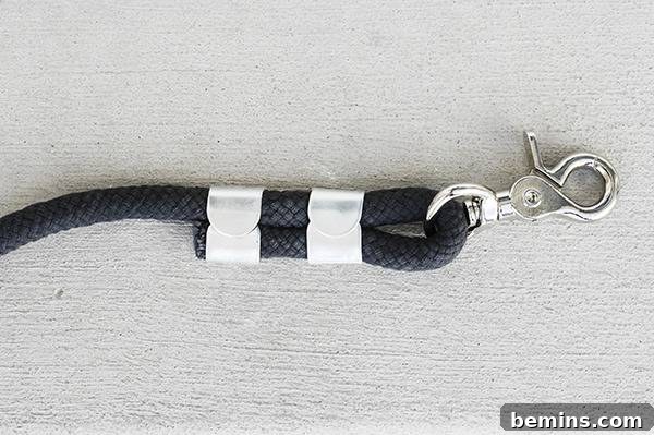 Loop with Snap Hook