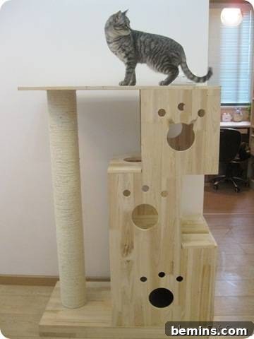 Purr-fect Perches: Crafting 6 Feline-Friendly Cat Trees 3 A cat tree made up of wooden boxes and a pole. An example of a sturdy and visually interesting cat tree constructed from wood.