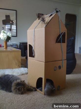 Purr-fect Perches: Crafting 6 Feline-Friendly Cat Trees 7 A small cat house that has been made out of cardboard boxes. Highlighting the use of recycled cardboard boxes to create a multi-level cat climber.