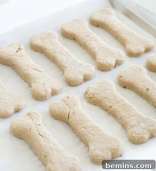 Easy Two-Ingredient Dog Treats