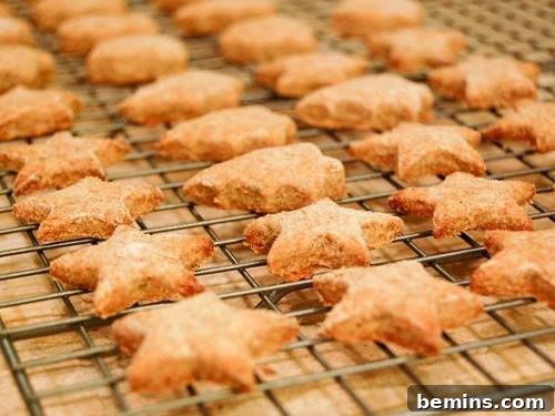 All-Natural Cat Treats