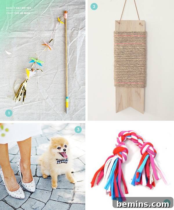 A collection of cat and dog toys, including a cat scratch pad, a dog pull toy, and a stylish collar.