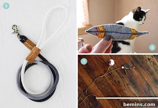 A playful cat with a feather toy and a selection of colorful dog leashes.