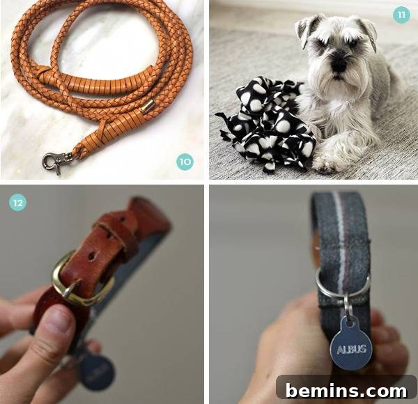 A white dog alongside a collection of stylish dog leashes, emphasizing the importance of accessories.