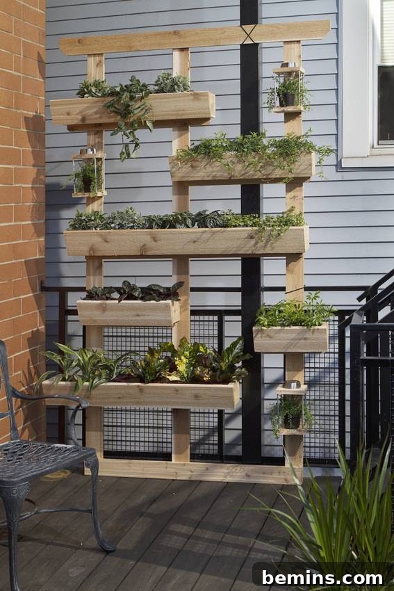 How to make a living plant wall