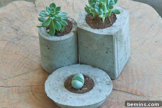 Cement Planters