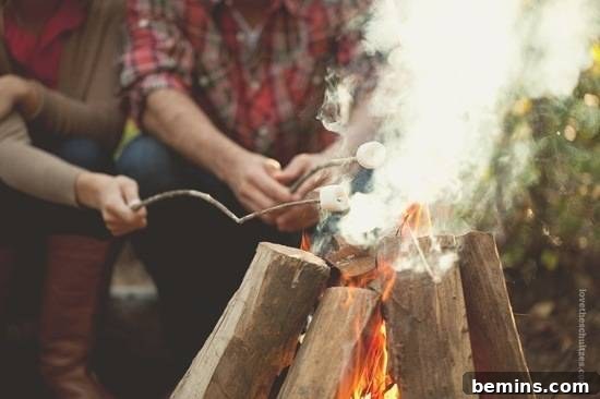 Several people cooking marshmallows over an open fire.