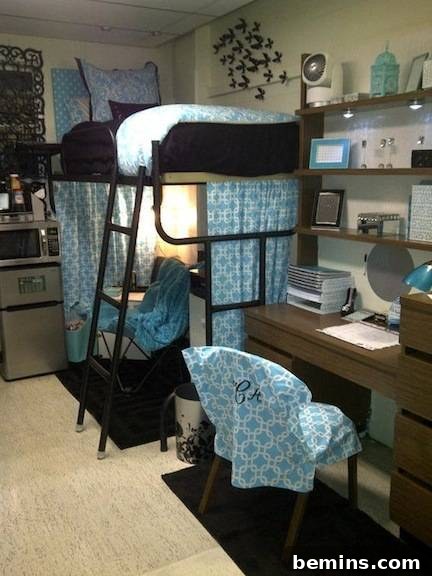 A ladder leading up to a bunk bed in a room with wooden furnishings and blue accents, creating a functional and stylish sleeping area.