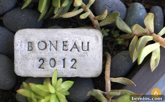 A rectangular stone engraved with 'Boneau 2012,' resting on a bed of smooth black stones and vibrant succulents.