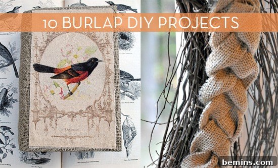 A braided piece of hair and a book with a bird on it.