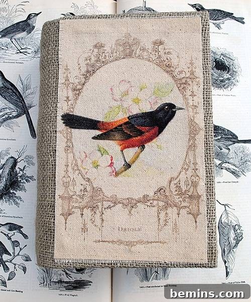 Two bird books, one open and on top of it, a closed book. On the pages and the cover you can see drawings of birds.