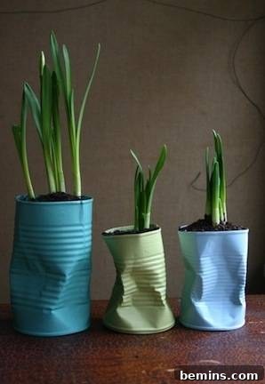 Three cans are used to hold plants. Rustic chic planters made from upcycled soup cans.