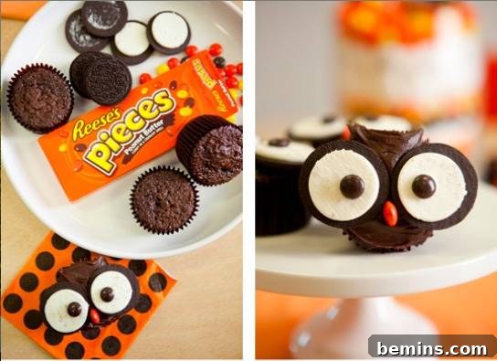 Reese's Pieces and Oreo cookies are rearranged to form edible owl cookies.