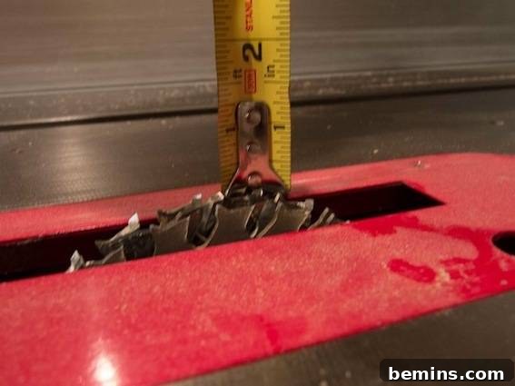 Close-up of a serrated saw blade on a circular saw, with a measuring tape indicating the precise depth setting for the dado cuts
