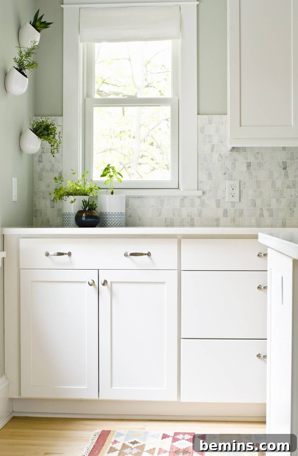 A kitchen having white cabinets and few vases near the window with green plants in them.