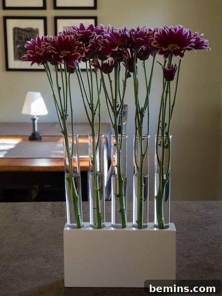 Pink flowers in a row of glass vases in the completed test tube vase
