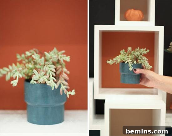 A person putting a flower on a white shelf.