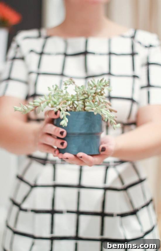 "A simple Modern Succulent Planter"