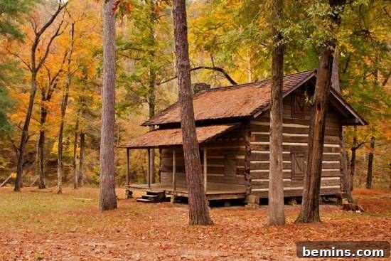 A small log cabin sits in the woods surrounded by tall, mature trees.
