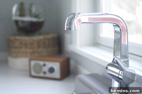 Stainless steel tap for sink.