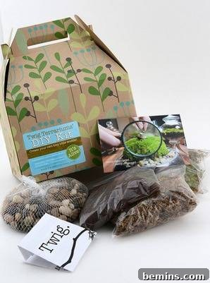 The Ultimate Gift List for Craft Lovers & DIYers 12 Bags of dirt and stones next to a plant-painted cardboard box, showcasing the components of a DIY terrarium kit.