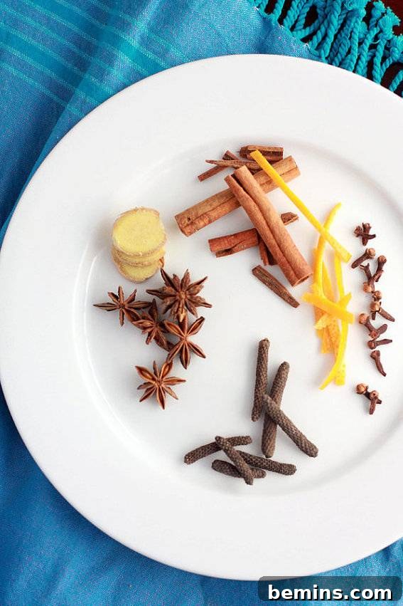 The Ultimate Gift List for Craft Lovers & DIYers 3 A white plate displaying an arrangement of aromatic spices for a DIY mulling spice kit.