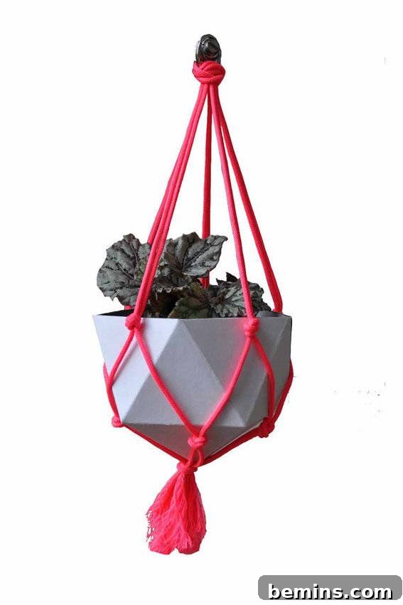 The Ultimate Gift List for Craft Lovers & DIYers 5 A plant pot suspended from the ceiling in a knotted rope holder, showcasing the DIY Geoplanter kit.