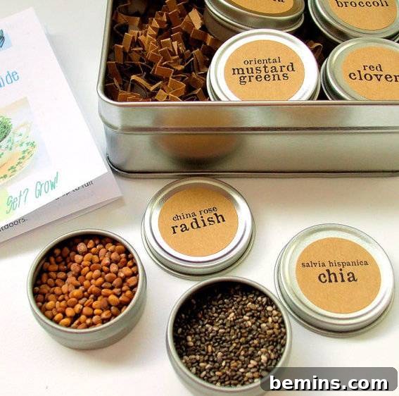 The Ultimate Gift List for Craft Lovers & DIYers 10 Two bowls of beans placed on a table, representing the potential yield from the Microgreens Garden In A Box kit.