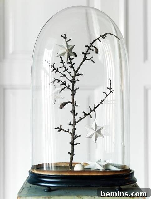 A bare plant inside a bell jar, resembling a snow globe, with a minimalist winter aesthetic.