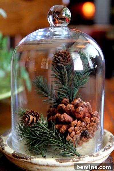 A bell jar filled with pine cones, evergreen branches, and other natural elements, creating a rustic Christmas decoration.