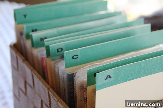 10 Items to Ditch for a Clutter-Free Home 3 Files with green letters as labels, demonstrating organized media storage.