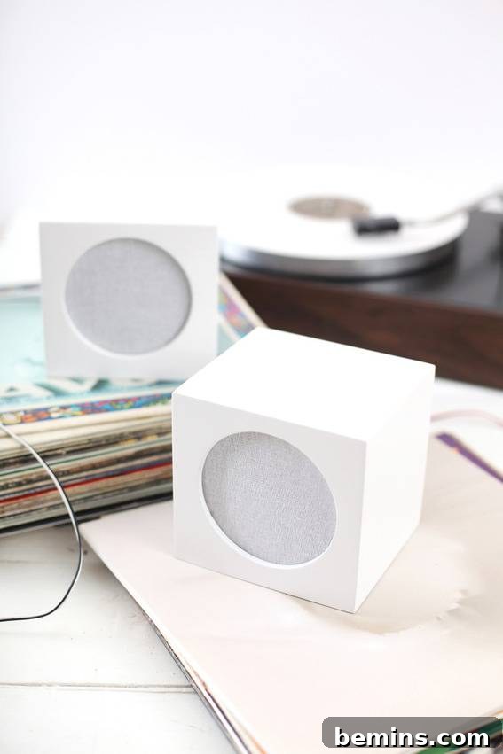 Creative Valentine's Day Gift Ideas: Speaker box covers