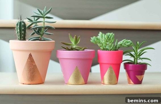 DIY Valentine's Day Gift: Painted succulent pots