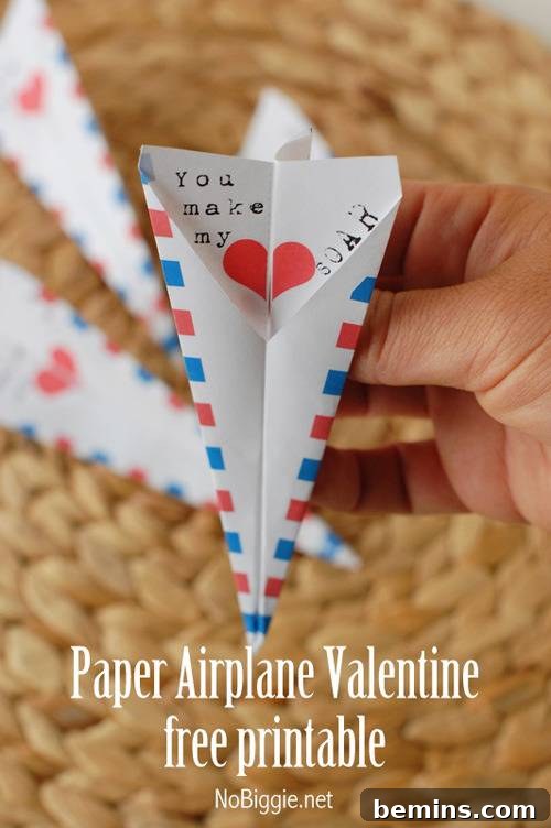 Paper Airplane Valentine free printable for a playful message