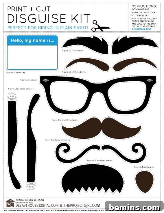 Disguise Kit