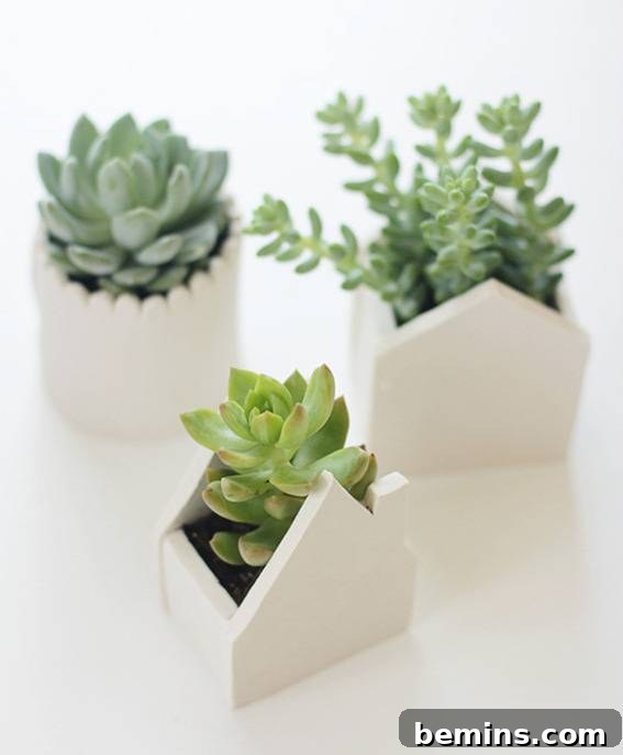 Small white planters shaped like houses with cacti inside