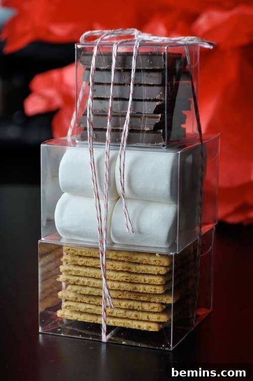 DIY S'mores Kit