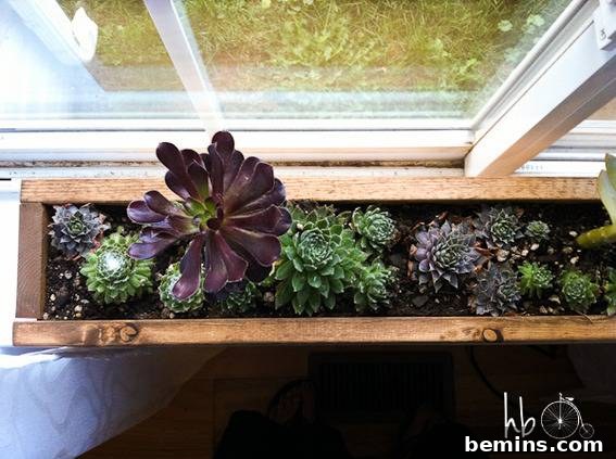 A collection of succulents potted in a brown flower pot, sitting beautifully in front of a window, showcasing their vibrant colors and textures.