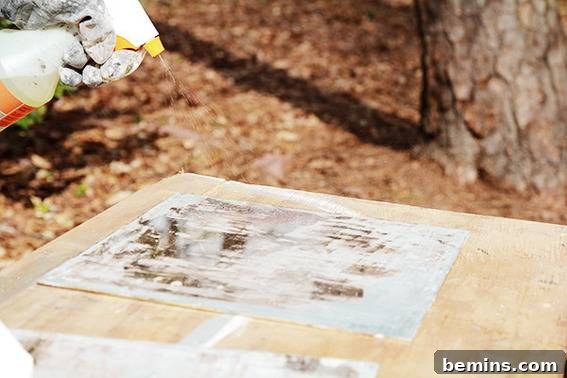 Craft Your Reflection: A DIY Antique Mirror Project 7 Spraying Muriatic Acid on Mirror Backing