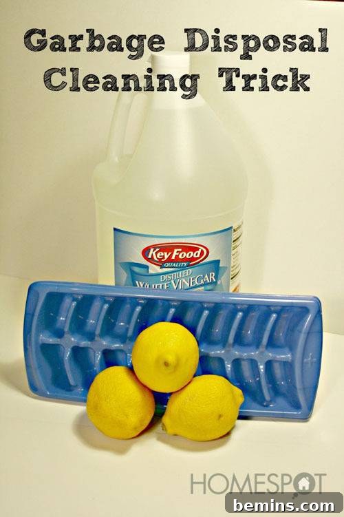 11 Creative DIY Home Refresh Ideas 11 Clean garbage disposal