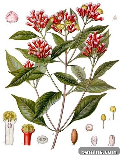 11 Creative DIY Home Refresh Ideas 6 Clove oil